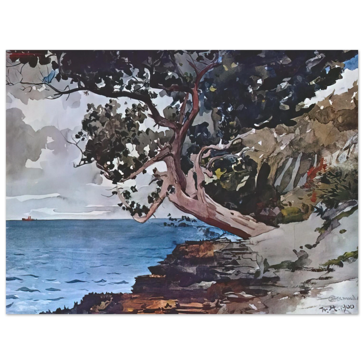 Winslow Homer - NORTH ROAD BERMUDA 75x100 cm / 30x40inches Fine Art Poster