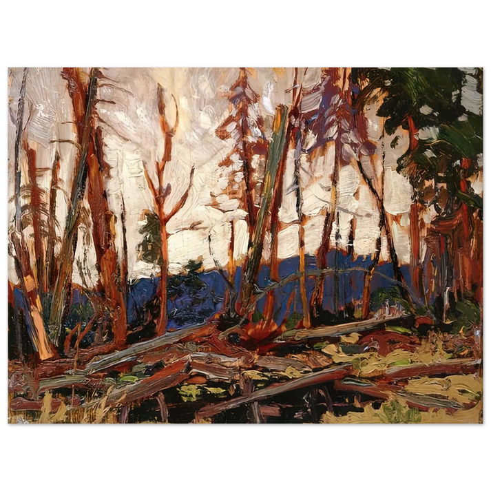 Tom Thomson - BURNT COUNTRY EVENING SKETCH FOR BURNT LAND 1914 75x100 cm / 30x40inches Fine Art Poster