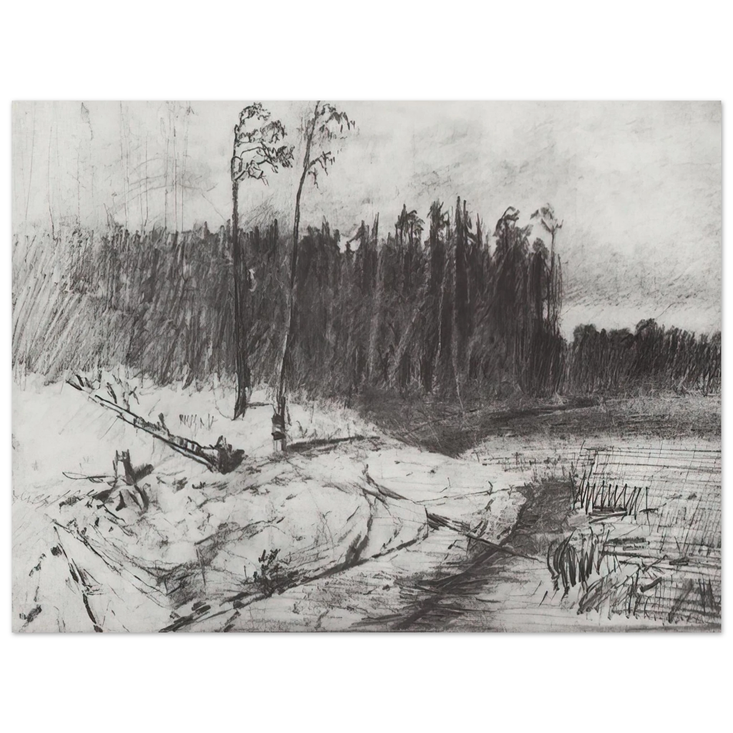 Arkhyp Kuindzhi - Forest near the water 75x100 cm / 30x40inches Fine Art Poster