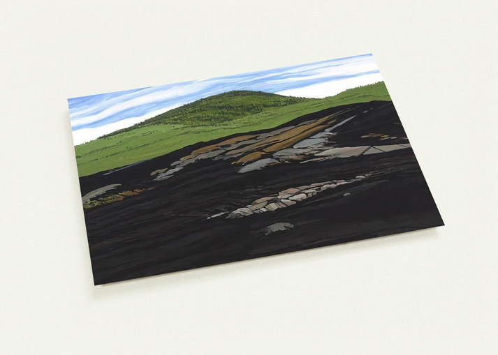 Blueberry Burn Morey's Hill - 1997 By Neil Welliver Pack of 10 Post Cards | Neil Welliver Post Cards | A6 (10.5 x 14.8 cm) - 4.1 x 5.8 inches