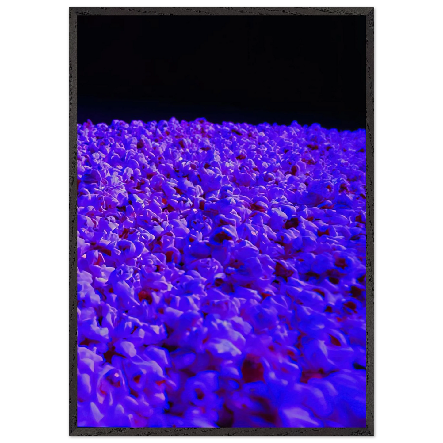 Moon Light - 1995 - Lygia Pape 70x100 cm / 28x40 inches Framed Art Print – Black Wooden Frame