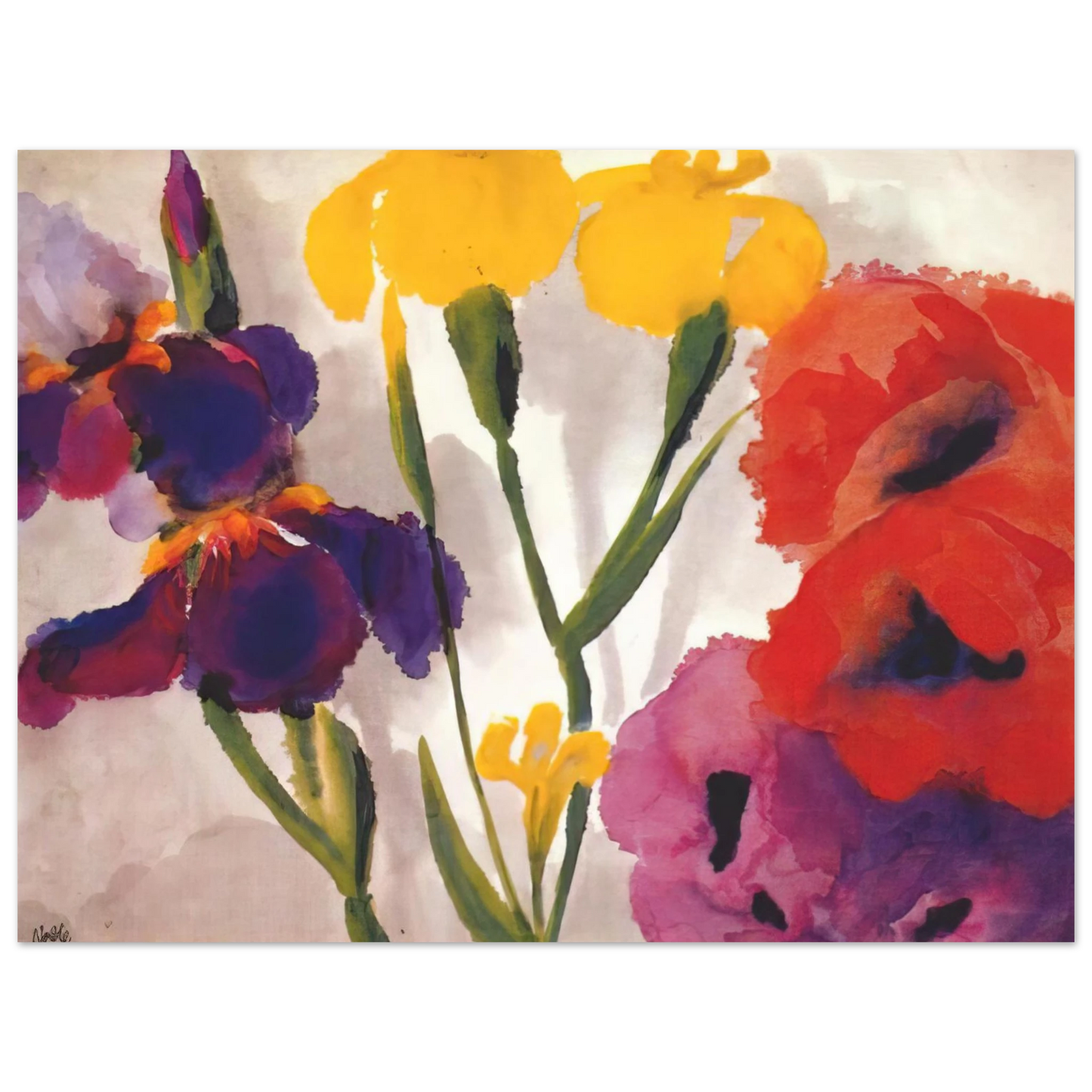 Emil Nolde - Irises and poppies 75x100 cm / 30x40inches Fine Art Poster