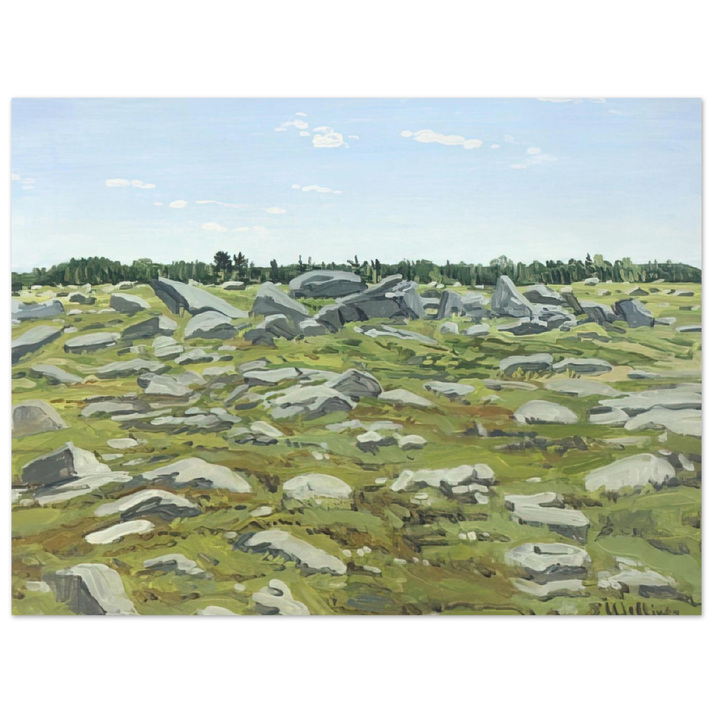 Neil Welliver - Study for Midday Barren - 1972 75x100 cm / 30x40inches Fine Art Poster