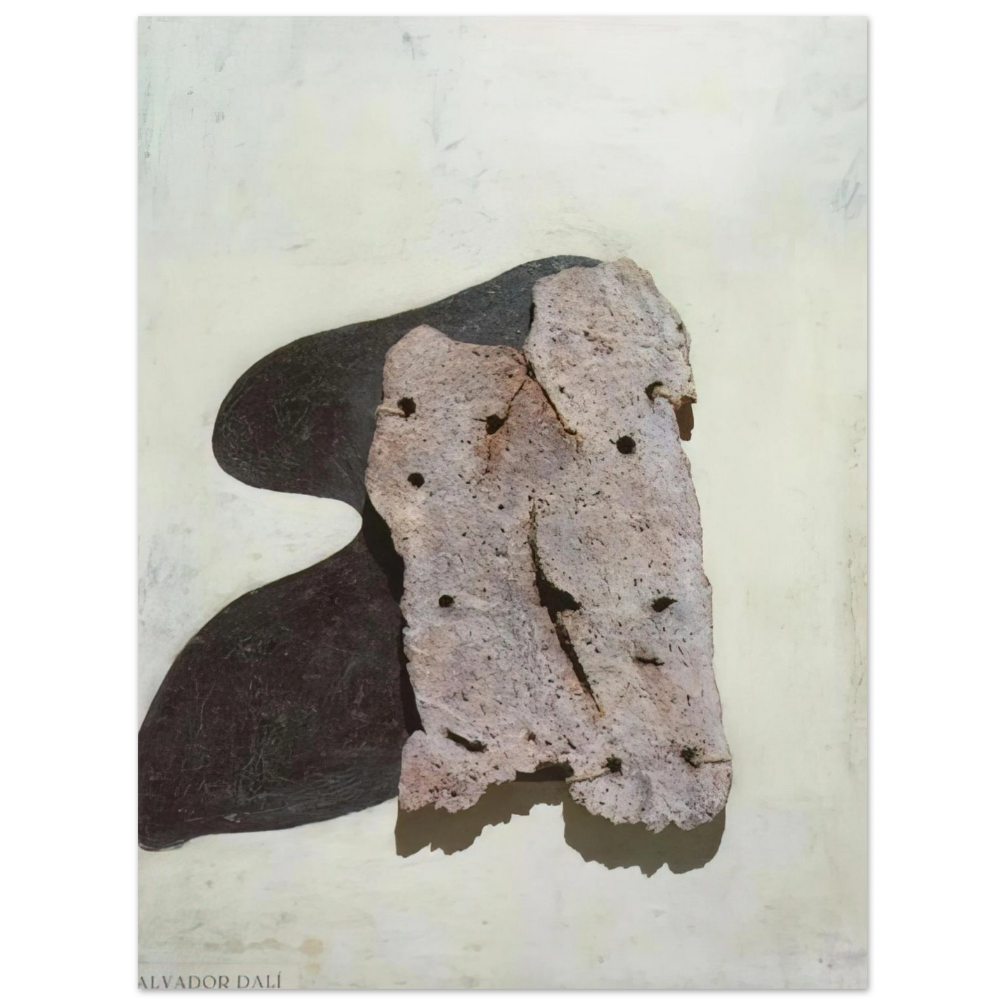 Salvador Dali - FEMALE NUDE 75x100 cm / 30x40inches Fine Art Poster