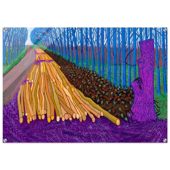 David Hockney - David Hockney Acrylic Print - 70x100 cm / 28x40″ inches | David Hockney Art | Artwork by David Hockney