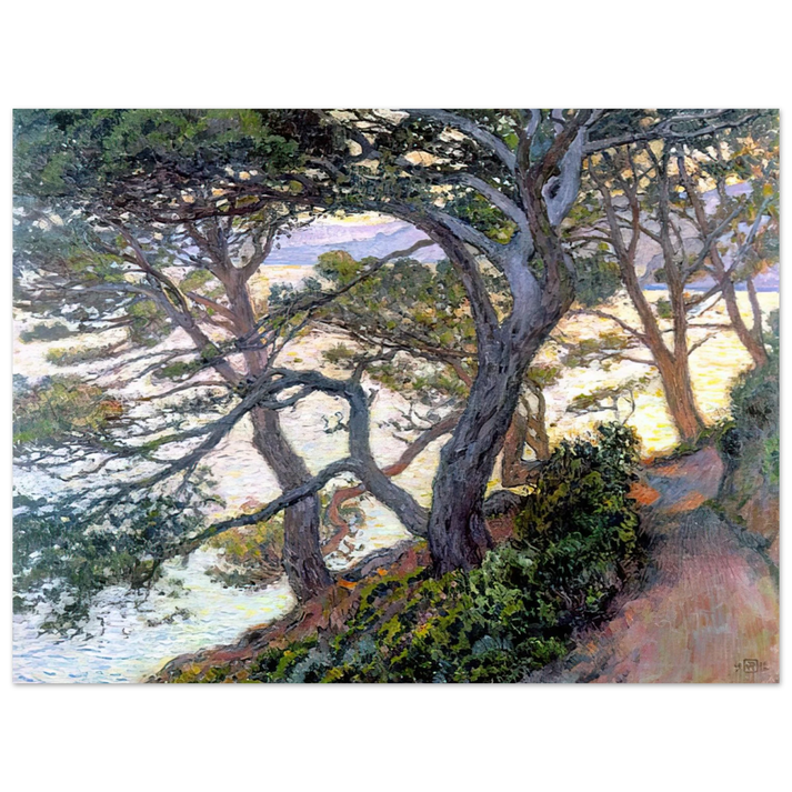 Theo van Rysselberghe - PINES OF RAYOL 1912 75x100 cm / 30x40inches Fine Art Poster