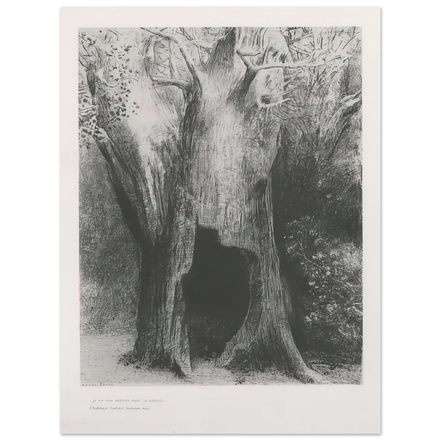 Odilon Redon - I PLUNGED INTO SOLITUDE I DWELT IN THE TREE BEHIND ME PLATE 9 1896 75x100 cm / 30x40inches Fine Art Poster