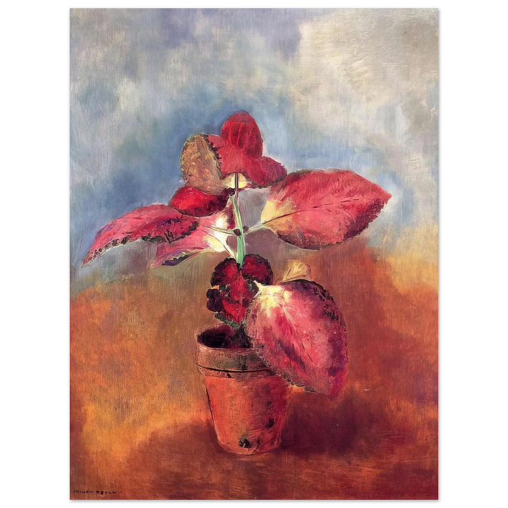 Odilon Redon - BEGONIA IN A POT 75x100 cm / 30x40inches Fine Art Poster