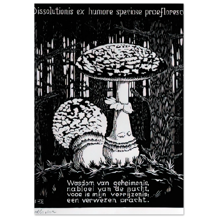 MC Escher - EMBLEMATA TOADSTOOL Wall Art - 30x40 cm / 12x16 inches - Fine Art Poster-canvas - -