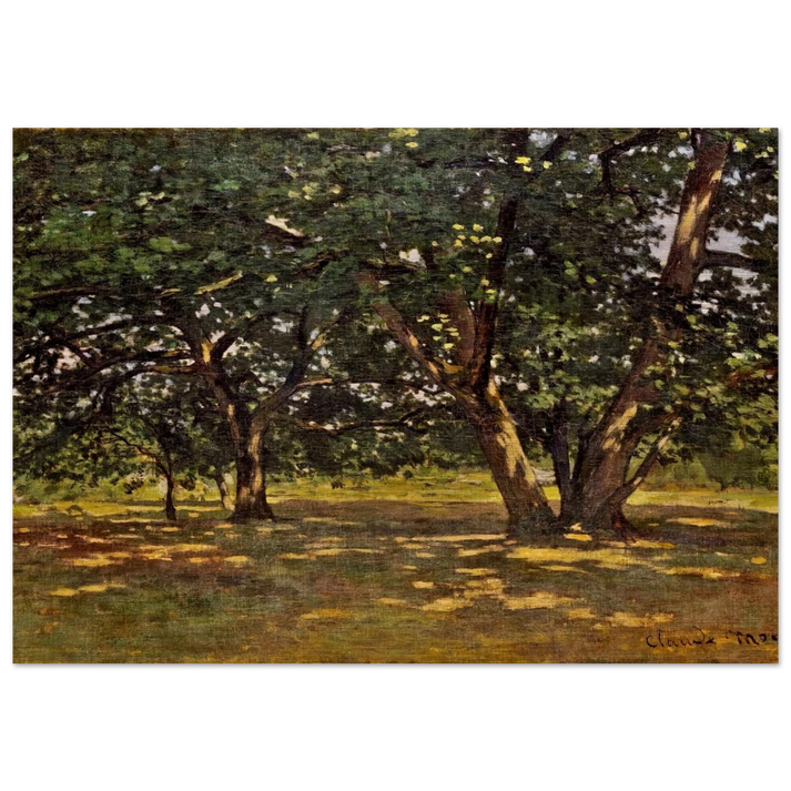 Fontainebleau Forest - claude monet Brushed Aluminum Print - 70x100 cm / 28x40 inches | claude monet Aluminum Print | claude monet Prints