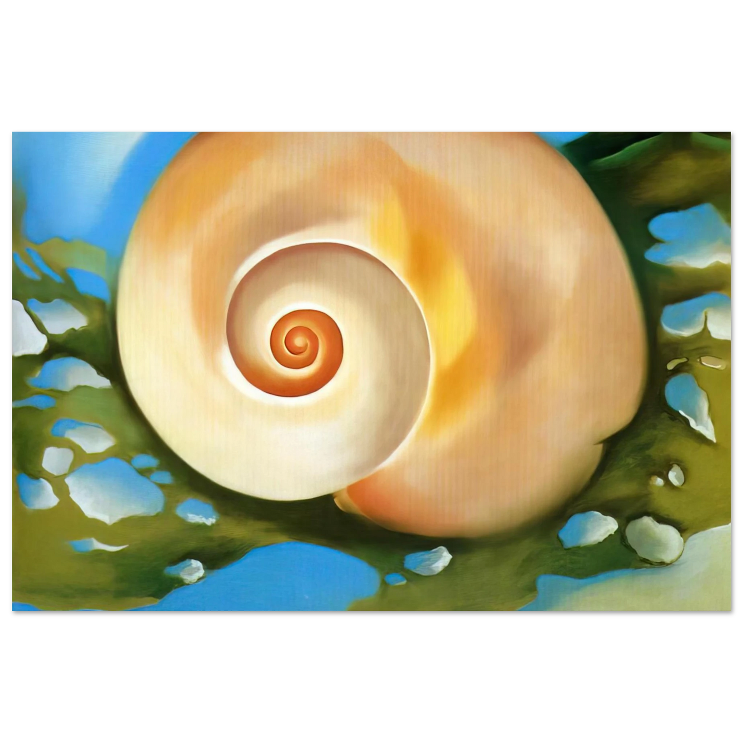 Georgia O'Keeffe - Pink Shell with Seaweed Fine Art Poster