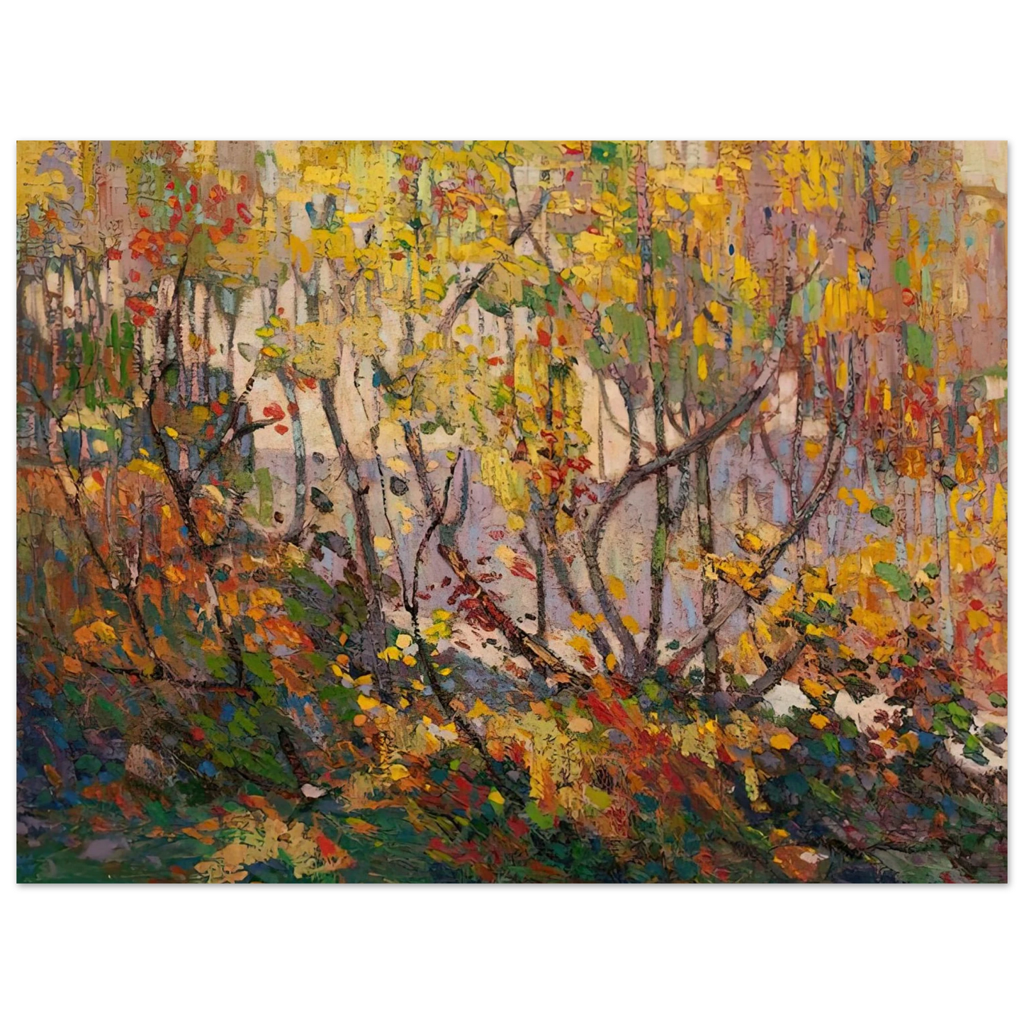 Tom Thomson - OPULENT OCTOBER 1916 75x100 cm / 30x40inches Fine Art Poster
