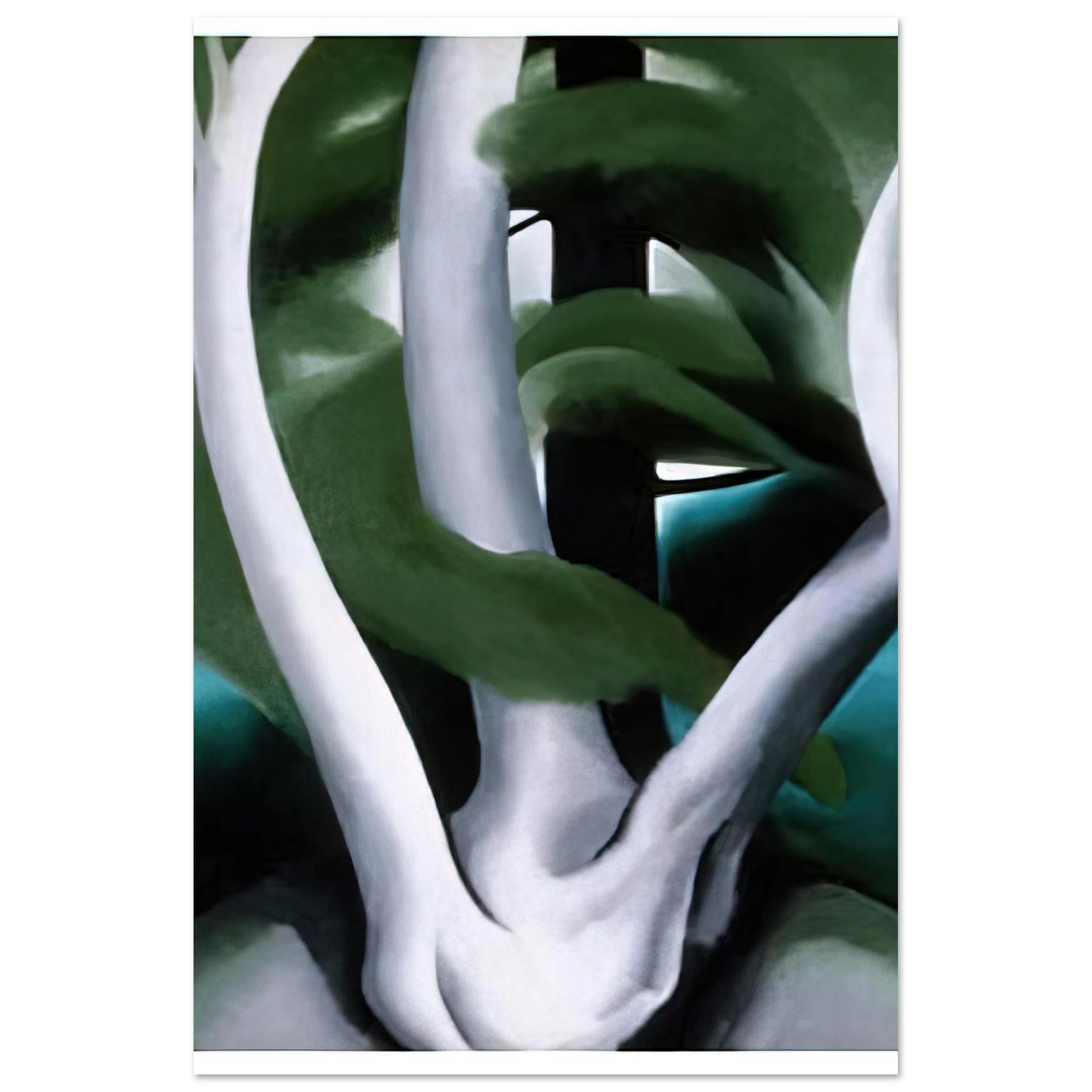 Georgia O'Keeffe - Birch and Pine Tree No. 1 Fine Art Poster