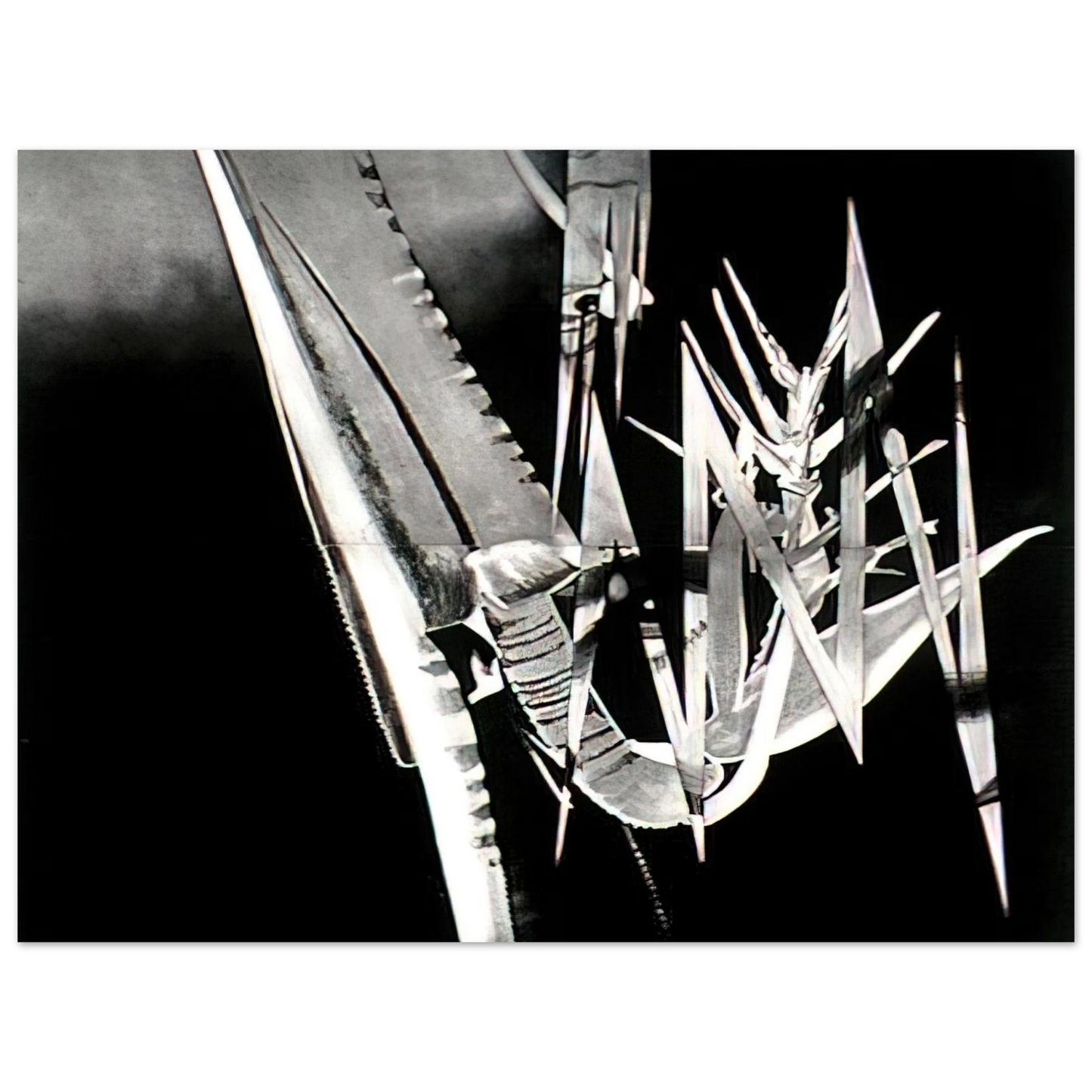 James Rosenquist - The Prickly Dark 75x100 cm / 30x40inches Fine Art Poster