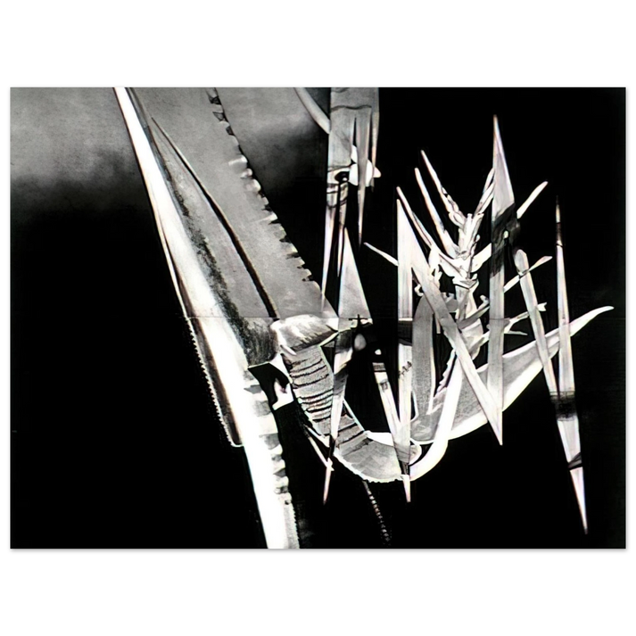 James Rosenquist - The Prickly Dark 75x100 cm / 30x40inches Fine Art Poster