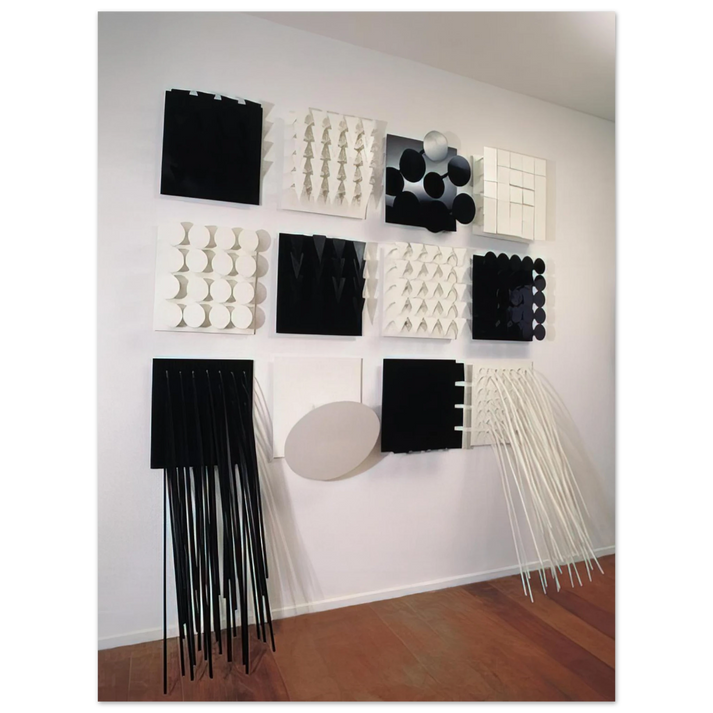 Lygia Pape - Amazonia Black and white - Neo-Concretism 75x100 cm / 30x40inches Fine Art Poster