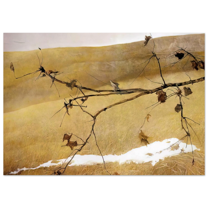 Andrew Wyeth - LONG LIMB Wall Art - 60x80 cm / 24x32 inches - Premium Wooden Framed Poster With Fine Art Paper - Black frame