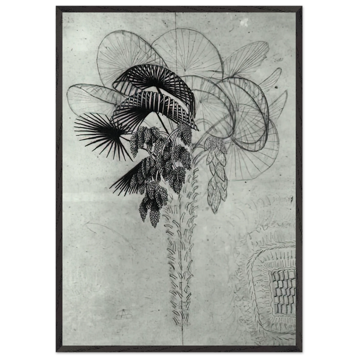 PALM TREE SKETCH - MC Escher 70x100 cm / 28x40 inches Framed Art Print – Black Wooden Frame | Maurits Cornelis Escher Prints