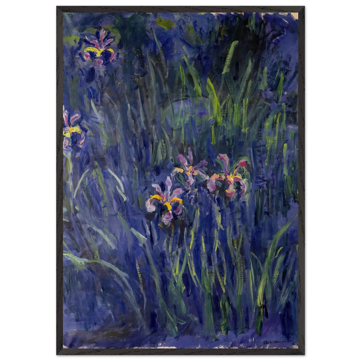Irises 2 - claude monet 70x100 cm / 28x40 inches Framed Art Print – Black Wooden Frame