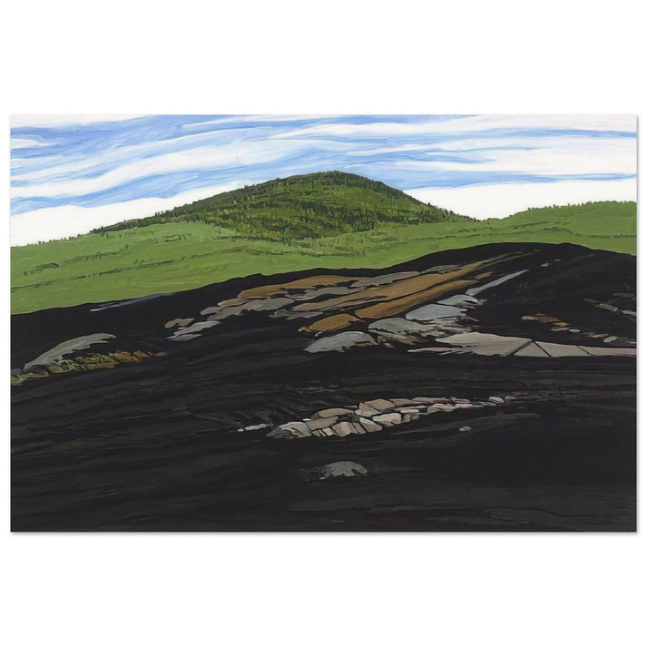 Blueberry Burn Morey's Hill - 1997 - Neil Welliver Art Prints - 100x150 cm / 40x60″ inches | Neil Welliver Poster | Neil Welliver Prints