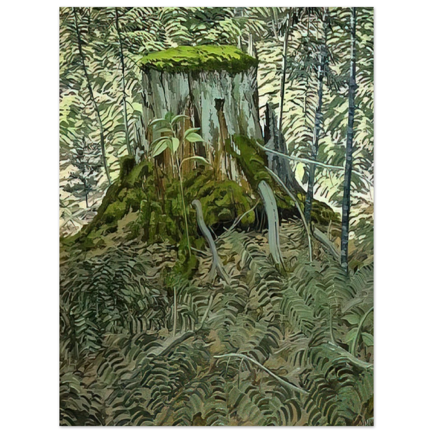 Neil Welliver - Stump and Ferns - Contemporary Realism 75x100 cm / 30x40inches Fine Art Poster