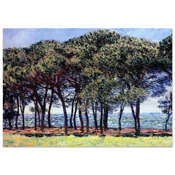 Pine Trees, Cap d'Antibes - claude monet Brushed Aluminum Print - 70x100 cm / 28x40 inches | claude monet Aluminum Print | claude monet Prints