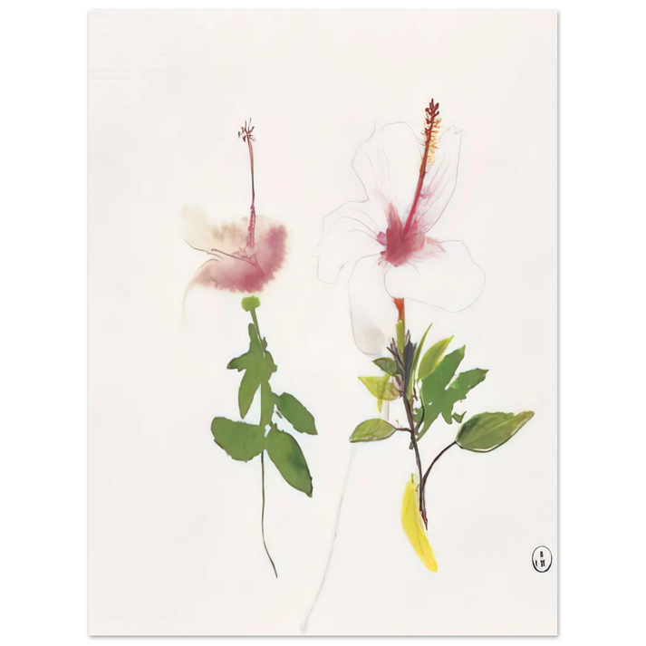 Brett Whiteley - Hibiscus - 1987 75x100 cm / 30x40inches Fine Art Poster