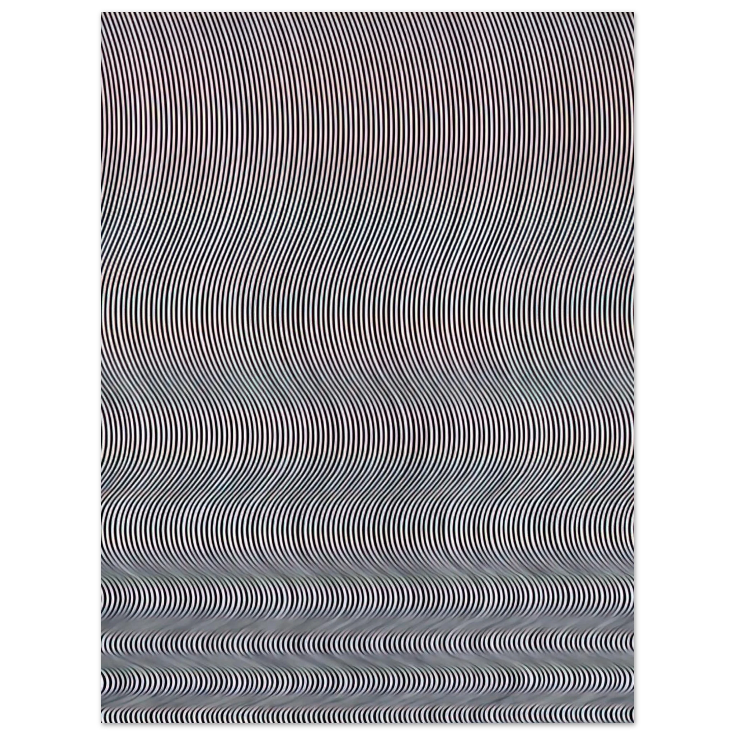 Bridget Riley - FALL 1963 75x100 cm / 30x40inches Fine Art Poster