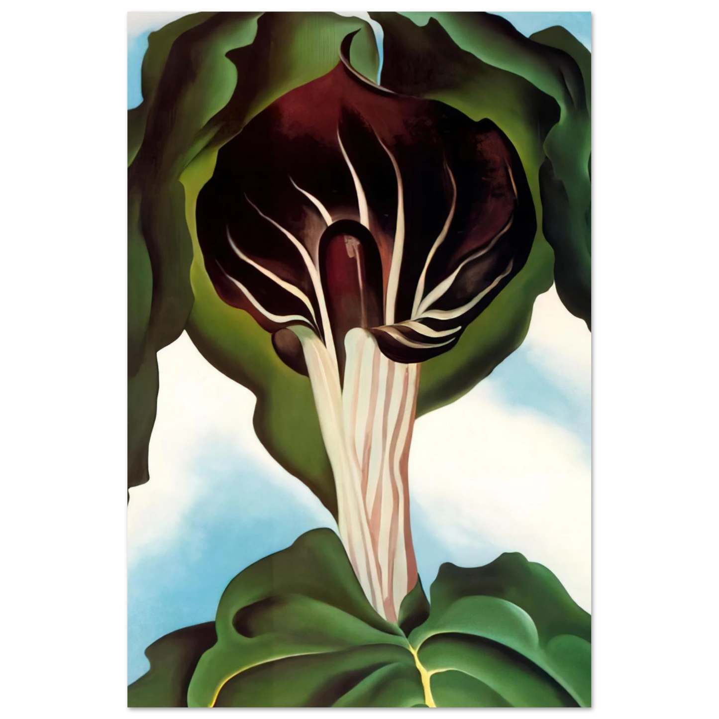 Georgia O'Keeffe - Jack-in-the-Pulpit III Fine Art Poster