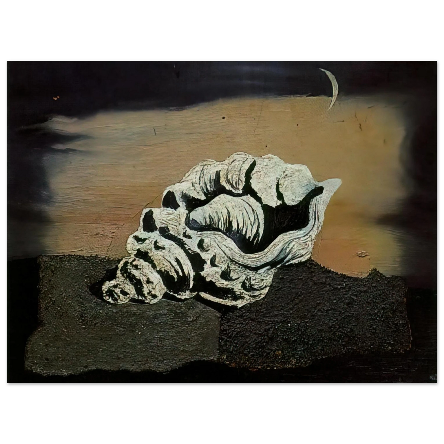 Salvador Dali - SHELL 75x100 cm / 30x40inches Fine Art Poster