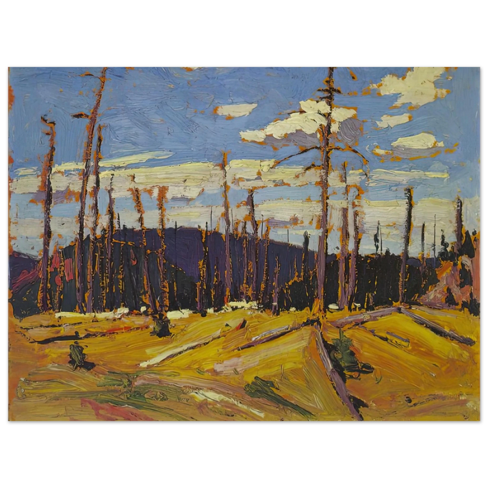 Tom Thomson - BURNT OVER FOREST 1916 75x100 cm / 30x40inches Fine Art Poster