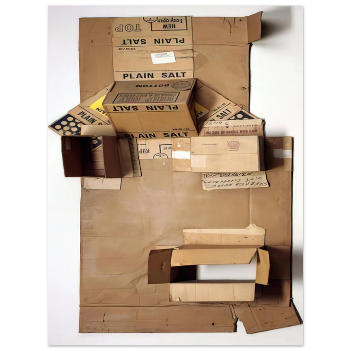 Robert Rauschenberg - PLAIN SALT CARDBOARD 1971 75x100 cm / 30x40inches Fine Art Poster