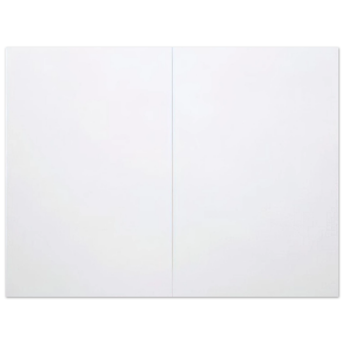 Wall artRobert Rauschenberg - WHITE PAINTING TWO PANEL 1951 75x100 cm / 30x40inches Fine Art Poster