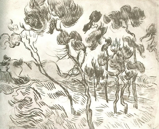 All About Van Gogh: The Tormented Genius Who Transformed Modern Art - A Group of Pine Trees near a House by Vincent van Gogh