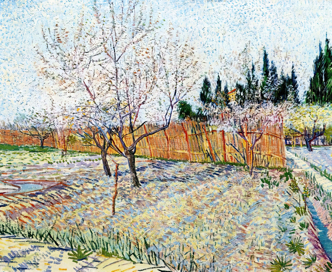 All Posters Van Gogh: A Curated Guide to the Artist's Iconic Prints - Orchard with Peach Trees in Blossom by Vincent van Gogh