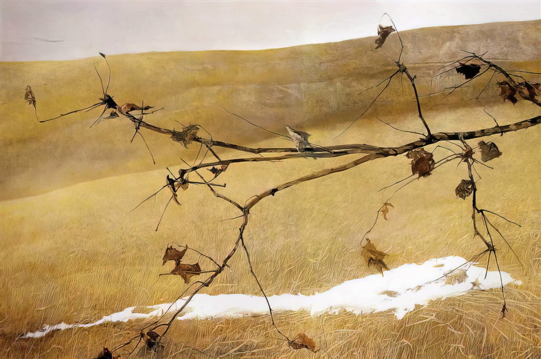 Andrew Wyeth Light Wash Print: A Study in Ethereal Realism - LONG LIMB by Andrew Wyeth