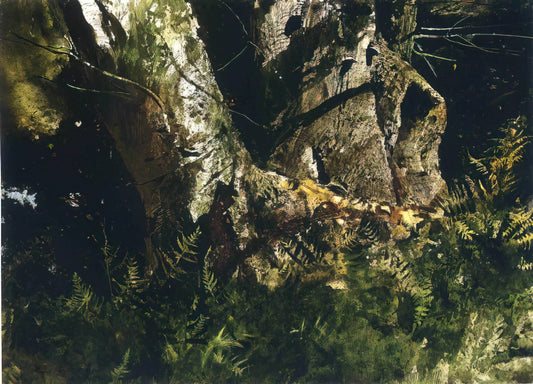 Andrew Wyeth Looking Out Looking In: The Window as Portal in American Realism - VIRGIN BIRCH 1982 by Andrew Wyeth