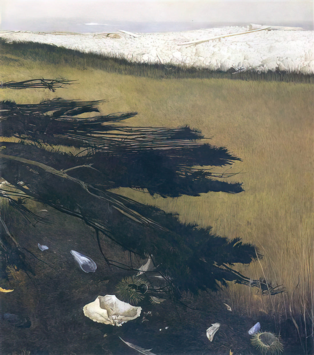 Andrew Wyeth Prints on eBay: A Collector's Guide to Authenticity, Value, and Smart Buying - NOT DETECTED 47 by Andrew Wyeth