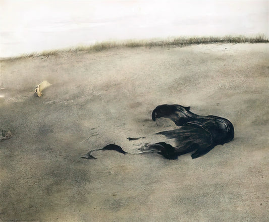 Andrew Wyeth Reproduction Prints: A Collector's Guide to Authentic Artistic Legacy - NOT DETECTED 37 by Andrew Wyeth