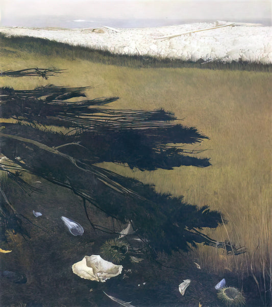 Andrew Wyeth's The Big Room: An Intimate Exploration of the Artist's Iconic Interior - NOT DETECTED 47 by Andrew Wyeth
