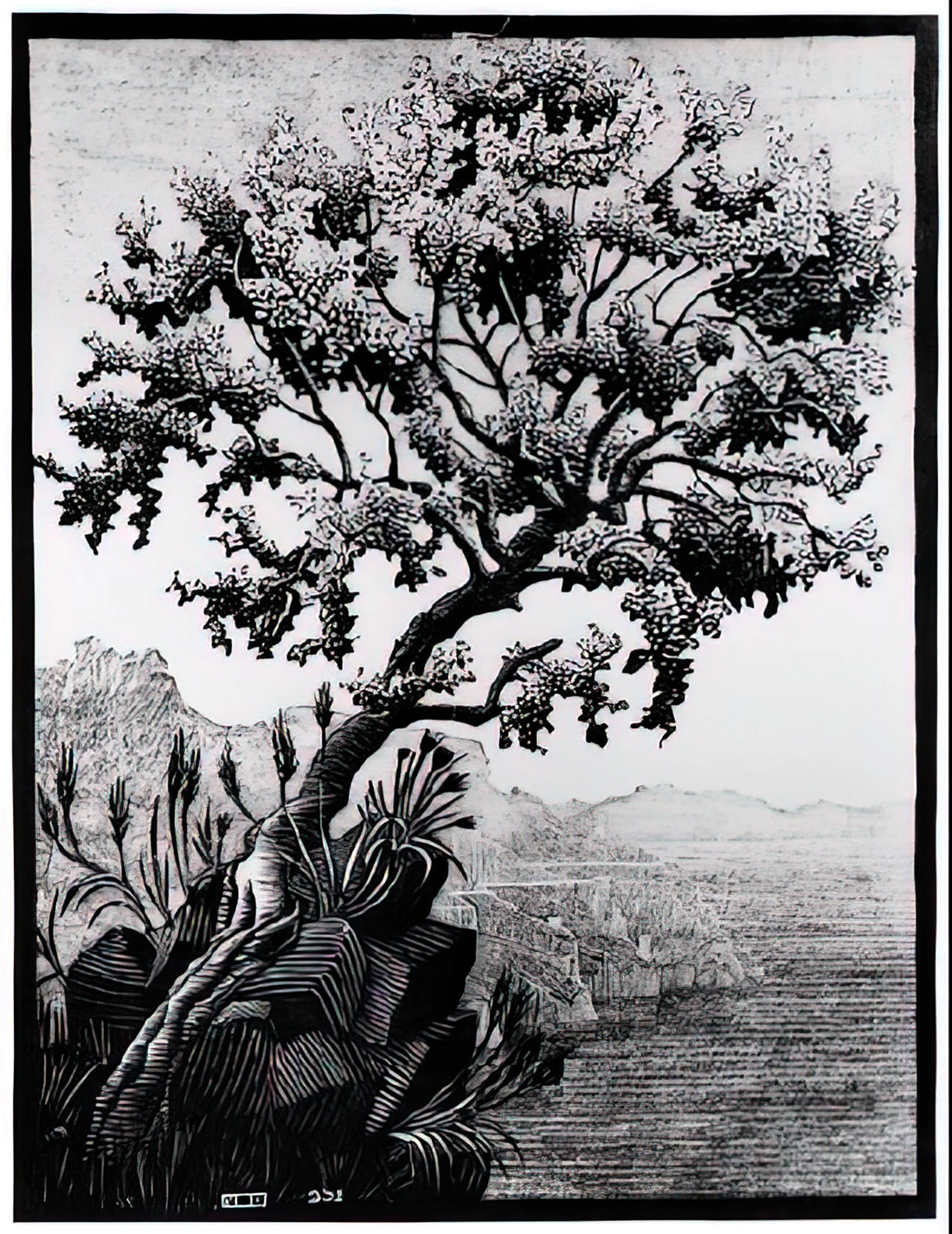 Another World by M.C. Escher: Exploring the Master of Impossible Realities - ESCHER (14) by MC Escher