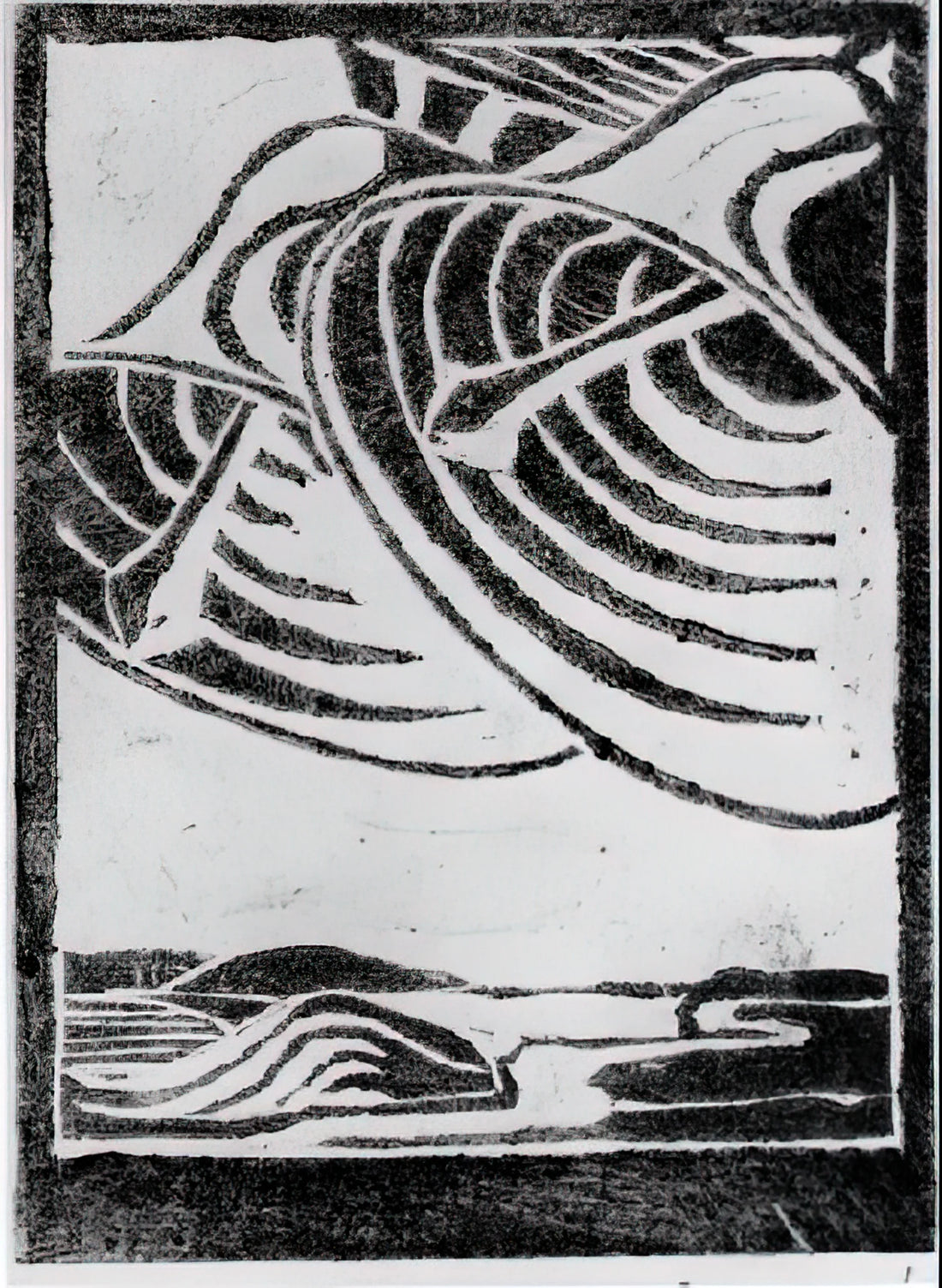 Artists Like M.C. Escher: Masters of Illusion, Geometry, and the Impossible - ESCHER (3) by MC Escher
