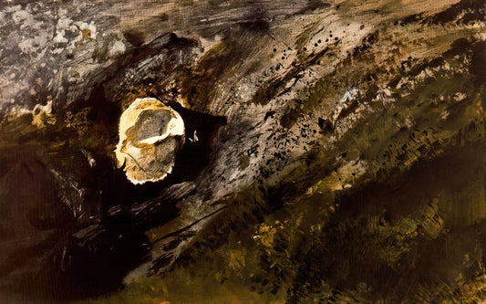 Barracoon Wyeth: The Haunting Legacy of Andrew Wyeth's Most Enigmatic Painting - INLAND SHELL by Andrew Wyeth