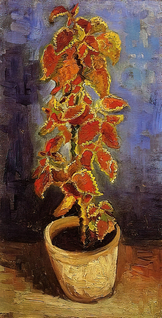 Black and White Van Gogh Prints: The Artist's Graphic Vision Beyond Color - Coleus Plant in a Flowerpot by Vincent van Gogh