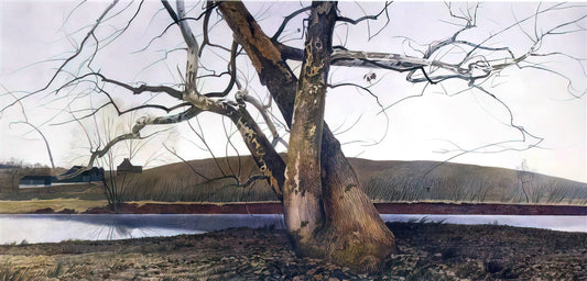 Christina's World by Andrew Wyeth: A Masterpiece of American Realism - DIL HUEY FARM by Andrew Wyeth