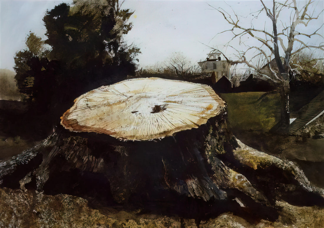 Christina's World by Andrew Wyeth: The Definitive Guide to the Iconic American Print - THE BIG OAK by Andrew Wyeth