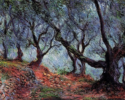 Claude Monet and Modern Art: How the Impressionist Pioneer Shaped Contemporary Visual Culture - Grove of Olive Trees in Bordighera by claude monet