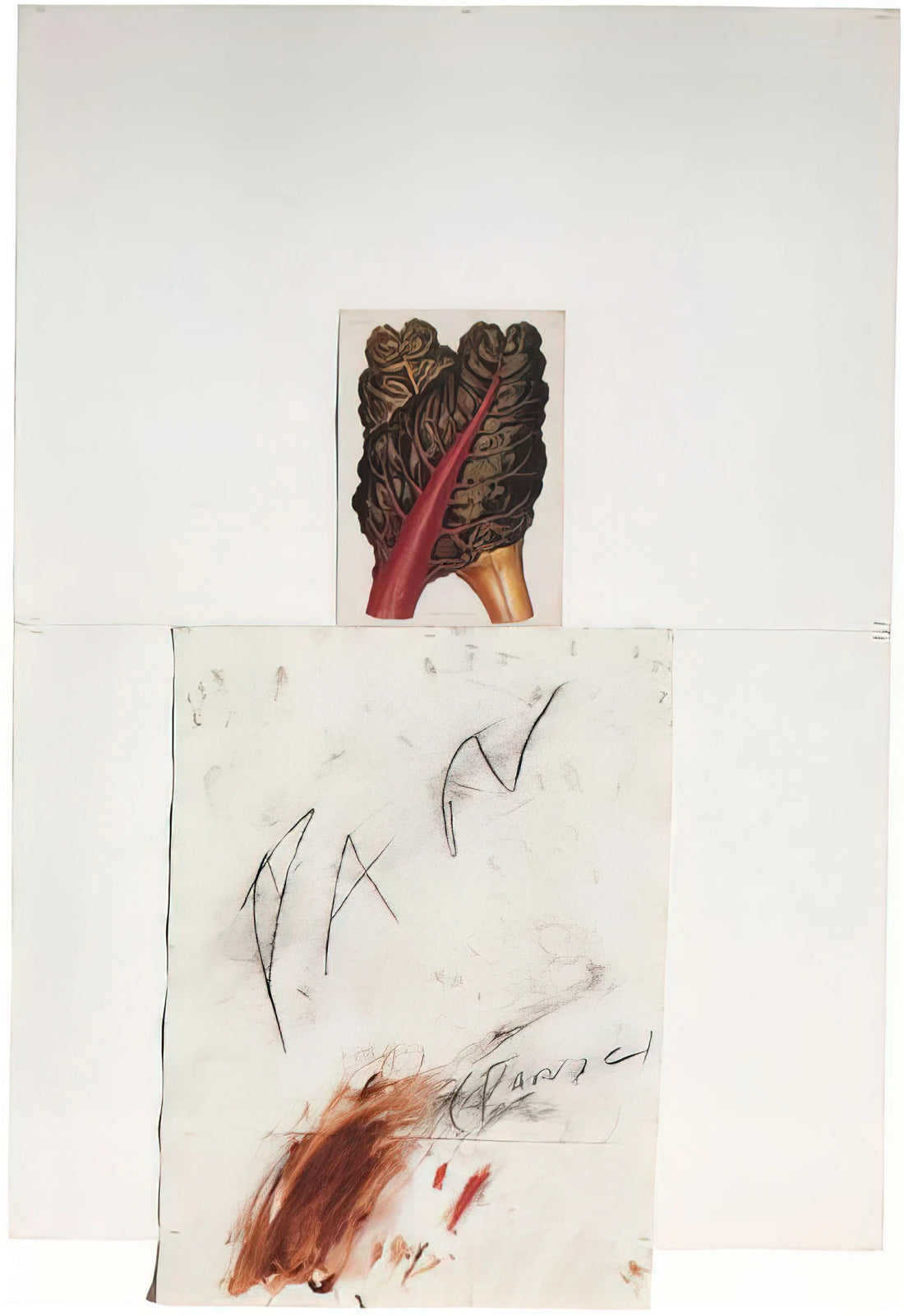 Cy Twombly Macklowe: The Legacy of a Master's Work in Contemporary Collections - Pan by Cy Twombly