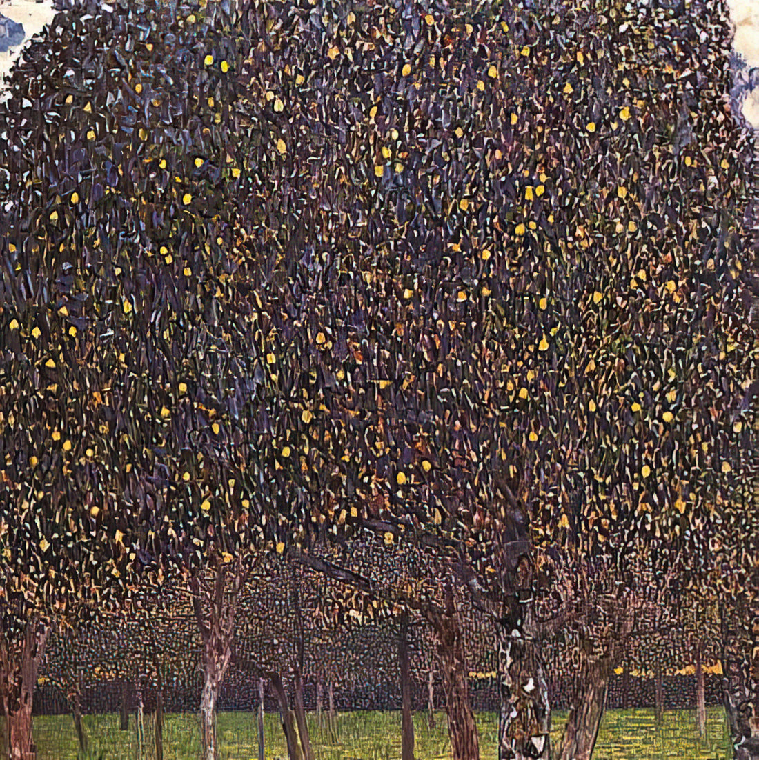Emilie Flöge Painting: Unveiling Her Enduring Influence on Viennese Modernism - PEAR TREE 1903 by Gustav Klimt