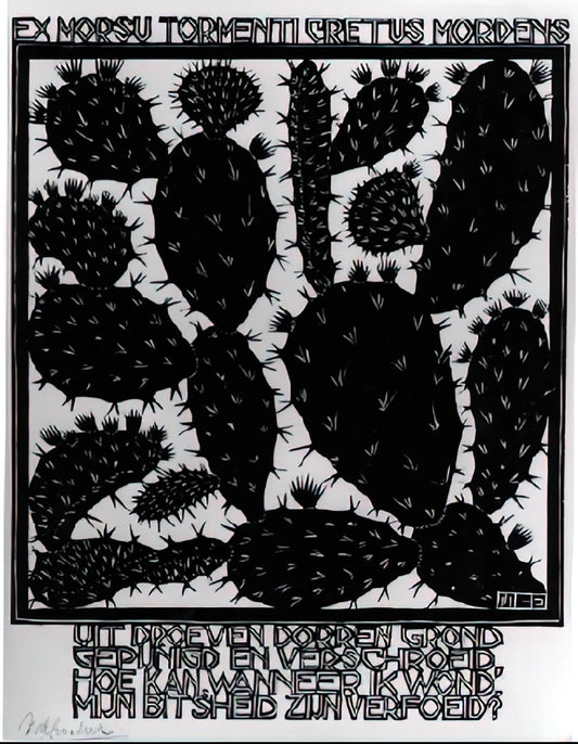 Escher Fotos: Exploring the Visual Puzzles and Mathematical Art of MC Escher - EMBLEMATA CACTUS by MC Escher
